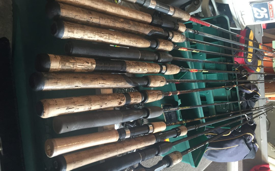 Raising an Angler: Picking the Right Rod
